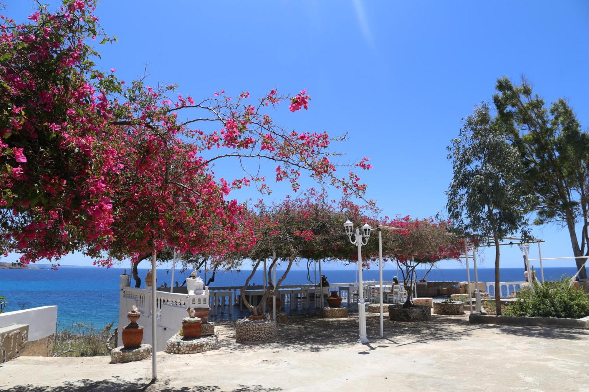 Kathys Island Retreat Aparthotel Ádia Kültér fotó